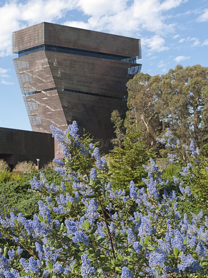 Copper-clad tower of the De Young Fine Arts Museum in Golden Gate Park, San Francisco, houses the education department. It is surrounded by native drought-resistant plants, such as this ceanothus. Copper-clad tower of the De Young Fine Arts Museum in Golden Gate Park, San Francisco, houses the education department. It is surrounded by native drought-resistant plants, such as this ceanothus.