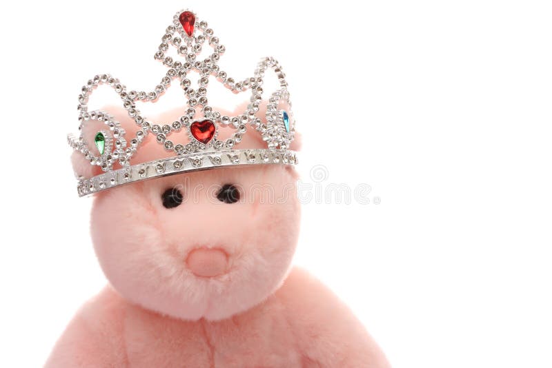 De prinses draagt royalty-vrije stock afbeeldingen De prinses draagt royalty-vrije stock afbeeldingen