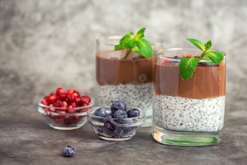 De pudding van chocoladechia in glas op grijze achtergrond Met exemplaarruimte royalty-vrije stock fotografie De pudding van chocoladechia in glas op grijze achtergrond Met exemplaarruimte royalty-vrije stock fotografie