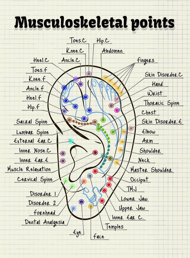 De punten van de illustratieacupunctuur op het menselijke oor