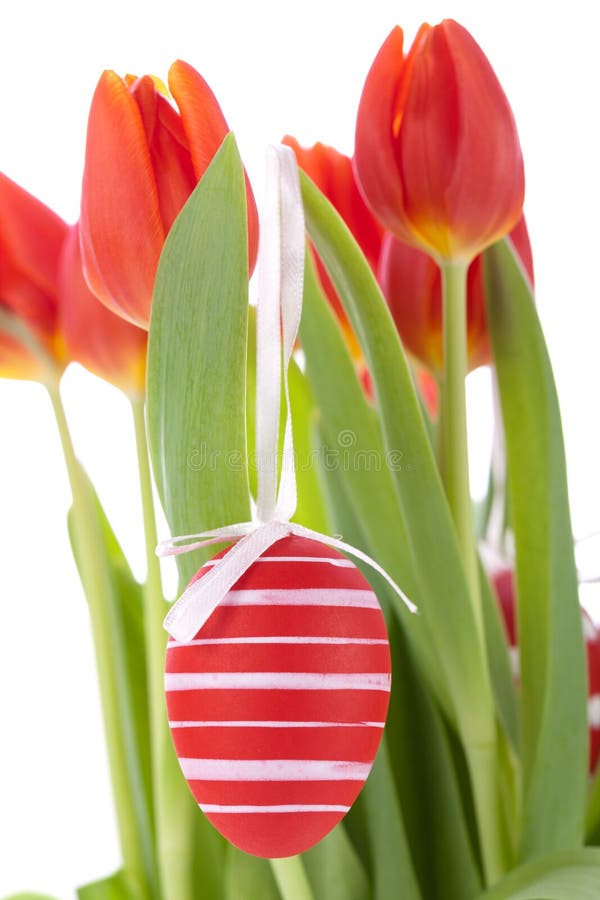 De Pâques toujours la vie rouge colorée avec les tulipes fraîches sensibles de ressort et les oeufs de pâques traditionnels peints à la main a arrangé sur un fond blanc avec le copyspace pour vos souhaits saisonniers