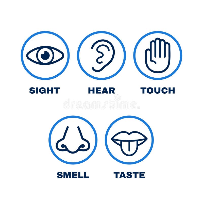 De reeks van het lijnpictogram van vijf menselijke betekenissen stock illustratie De reeks van het lijnpictogram van vijf menselijke betekenissen stock illustratie