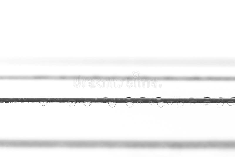 De regen valt op kledinglijn royalty-vrije stock afbeelding De regen valt op kledinglijn royalty-vrije stock afbeelding
