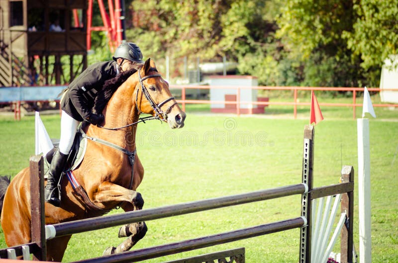 De rit mooi bruin paard en sprong van de jonge mensenjockey over de bifurcatie in ruitersportclose-up stock fotografie De rit mooi bruin paard en sprong van de jonge mensenjockey over de bifurcatie in ruitersportclose-up stock fotografie