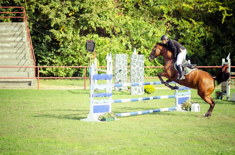 De rit mooi bruin paard en sprong van de jonge mensenjockey over de bifurcatie in ruitersportclose-up royalty-vrije stock afbeelding De rit mooi bruin paard en sprong van de jonge mensenjockey over de bifurcatie in ruitersportclose-up royalty-vrije stock afbeelding