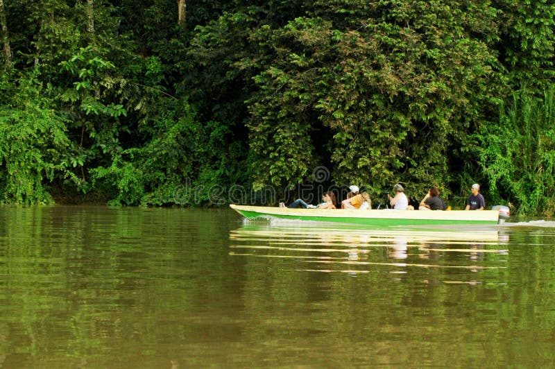 De rivier de cruise kinabatangen in het borneo regenwoud sukau sabah borneo maleysia