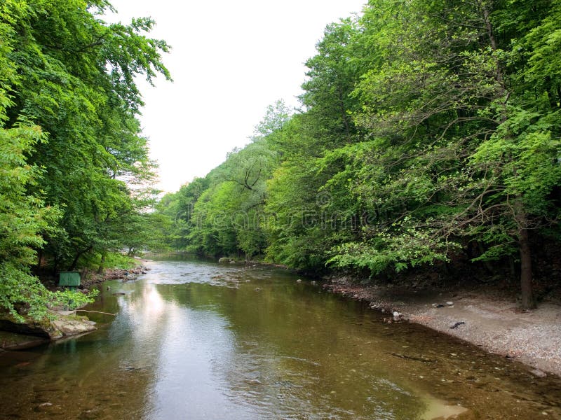 Rivier Cerna en boslandschap stock afbeelding