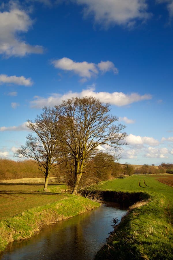 Lente rivier stock afbeeldingen