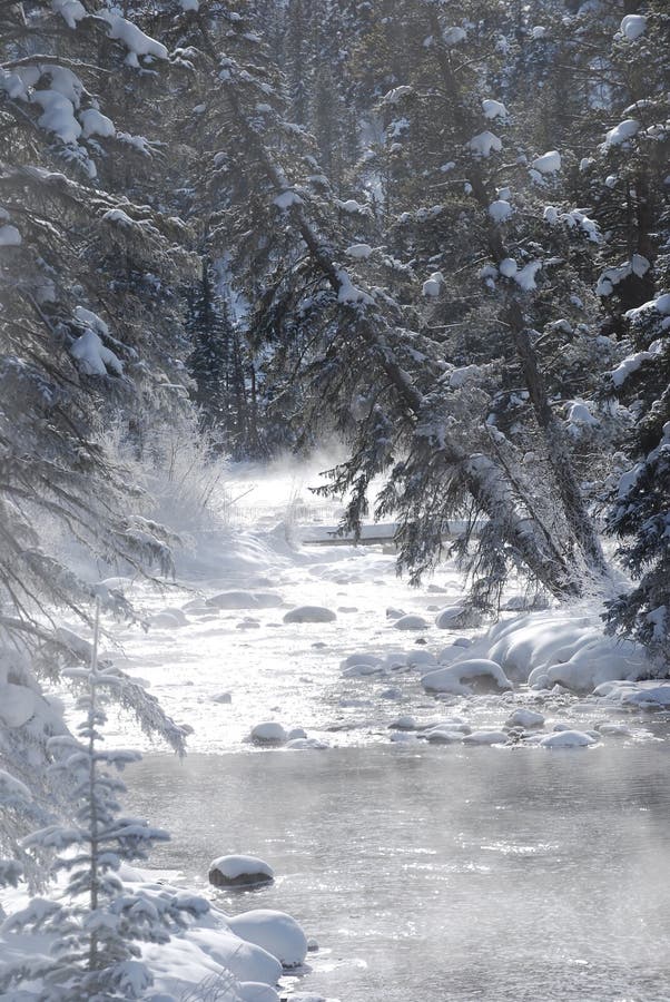 De Rivier van de winter in Colorado