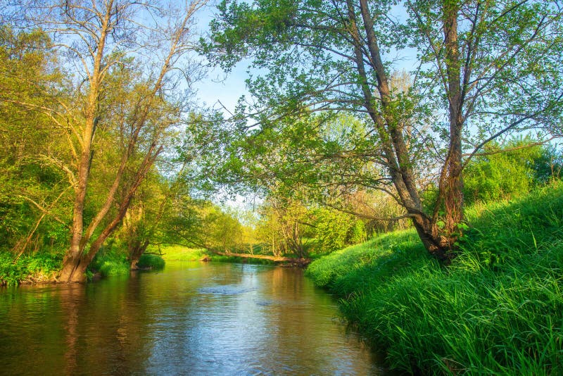 De rivier van de zomer Landschap van rivieroever in groene boslandschapsrivier Mooie riverbank stock foto's De rivier van de zomer Landschap van rivieroever in groene boslandschapsrivier Mooie riverbank stock foto's