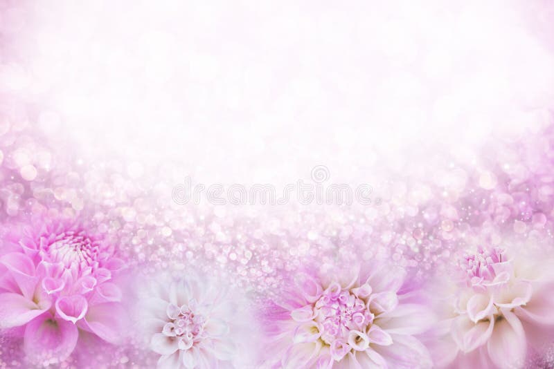 De roze en witte het kaderachtergrond van de dahliabloem in zachte uitstekende toon met schittert licht en bokeh, exemplaarruimte stock afbeelding De roze en witte het kaderachtergrond van de dahliabloem in zachte uitstekende toon met schittert licht en bokeh, exemplaarruimte stock afbeelding