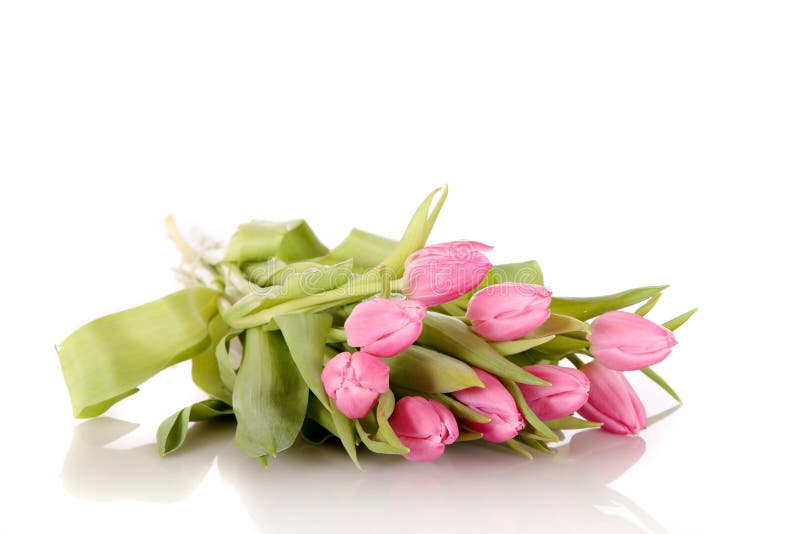 Roze Paastulpen royalty-vrije stock afbeeldingen