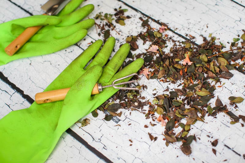 De rubber groene veiligheid gloves handschop en het tuinieren hark op het houten concept van de raadslandbouw royalty-vrije stock fotografie De rubber groene veiligheid gloves handschop en het tuinieren hark op het houten concept van de raadslandbouw royalty-vrije stock fotografie