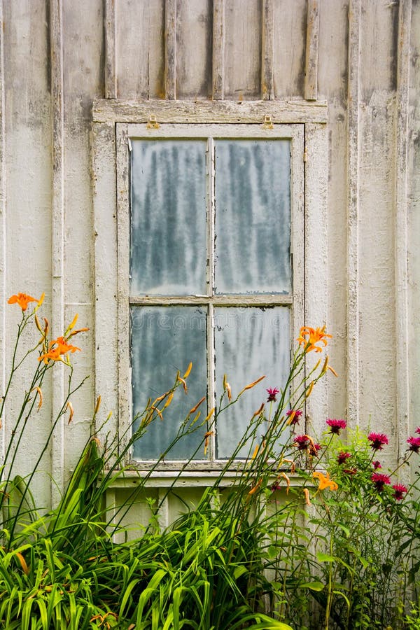 De rustieke bouw met een doorstaan oud venster en oranje bloemen vooraan, bij taconic park van de staat stock afbeeldingen De rustieke bouw met een doorstaan oud venster en oranje bloemen vooraan, bij taconic park van de staat stock afbeeldingen