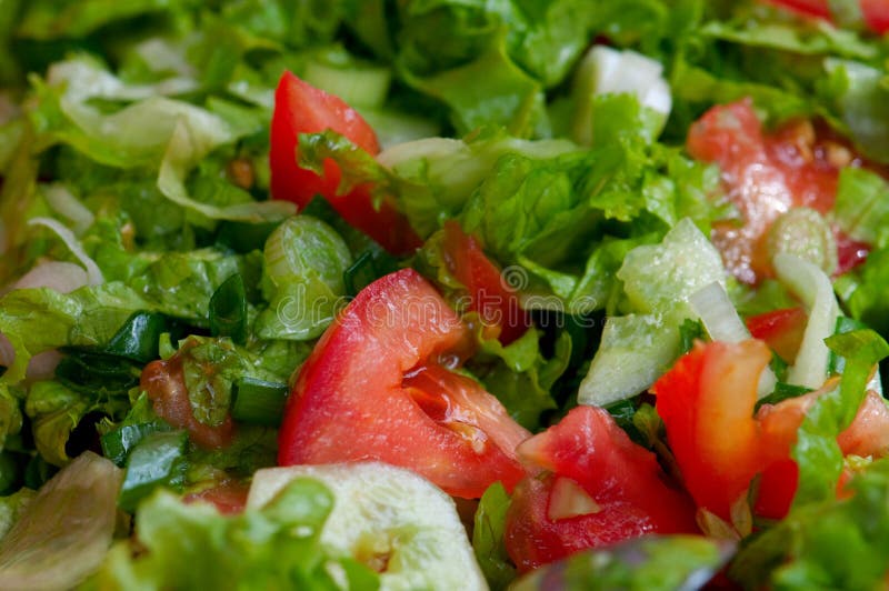 De salade van de tuin stock afbeeldingen De salade van de tuin stock afbeeldingen