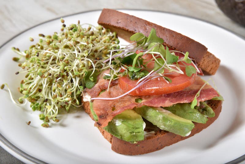 De sandwich van de baconavocado royalty-vrije stock afbeelding De sandwich van de baconavocado royalty-vrije stock afbeelding