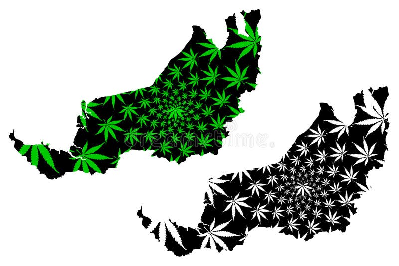 De Sarawakstaten en de federale gebieden van Maleisië, Federatie van de kaart van Maleisië zijn ontworpen groen en zwart cannabis vector illustratie De Sarawakstaten en de federale gebieden van Maleisië, Federatie van de kaart van Maleisië zijn ontworpen groen en zwart cannabis vector illustratie