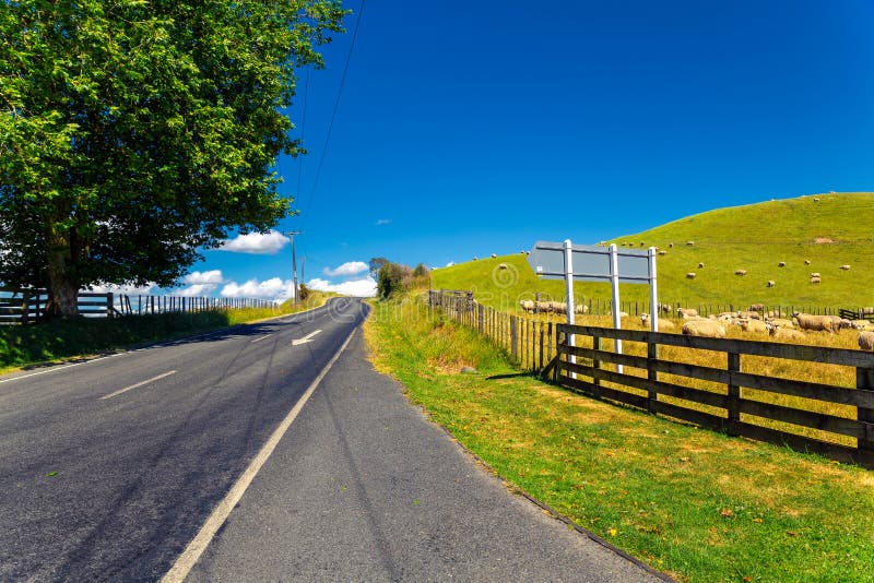 De schapentroep van Nieuw Zeeland het weiden in de mooie groene heuvel stock afbeelding De schapentroep van Nieuw Zeeland het weiden in de mooie groene heuvel stock afbeelding