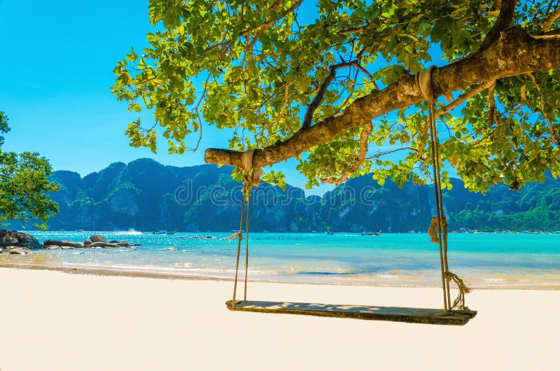 Schommel hangt aan een kokospalm boven het strand, Thailand stock foto's