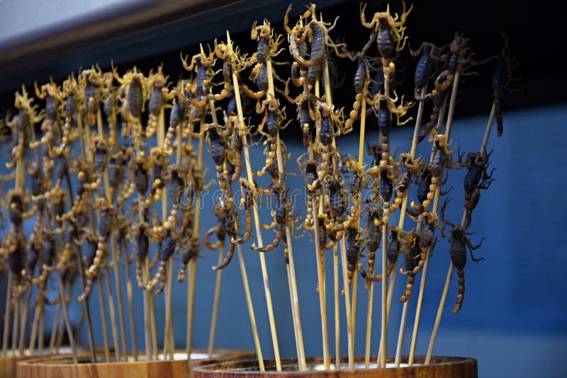 De schorpioenen als snack verkochten in de straten in China stock afbeelding De schorpioenen als snack verkochten in de straten in China stock afbeelding
