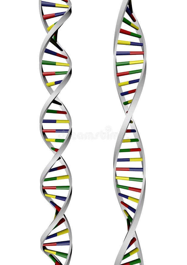 DNA-dubbele helix stock illustratie