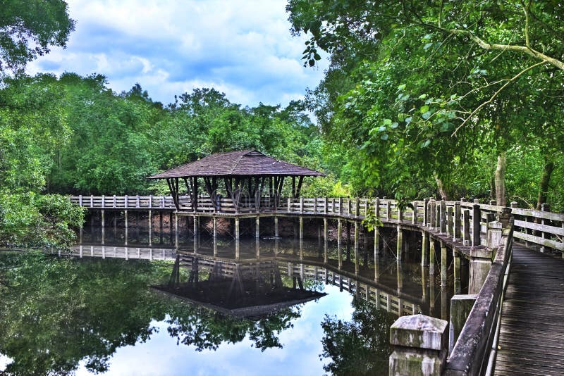 De Schuilplaats van het Arboretum van de mangrove, Sungei Buloh Singapore stock foto De Schuilplaats van het Arboretum van de mangrove, Sungei Buloh Singapore stock foto