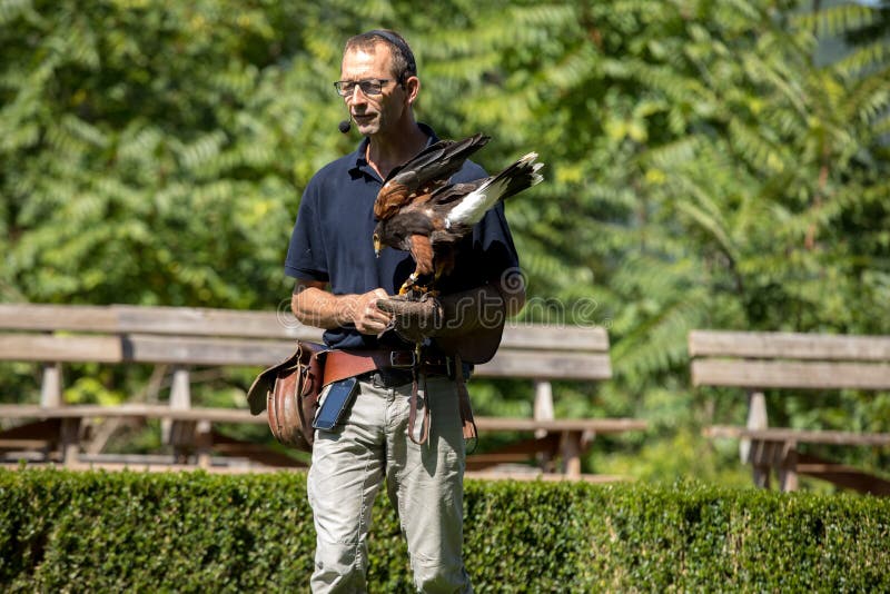 De show van roofvogels in Chateau des Milandes; een kasteel; in Dordogne; Aquitaine; Frankrijk stock foto's De show van roofvogels in Chateau des Milandes; een kasteel; in Dordogne; Aquitaine; Frankrijk stock foto's