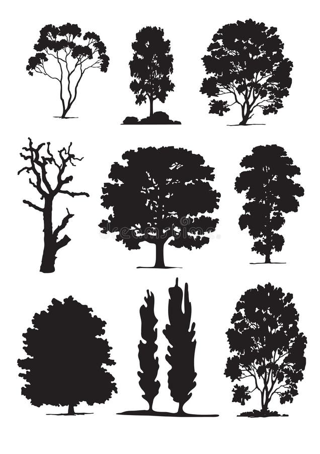 De silhouetten van de boom (vector)