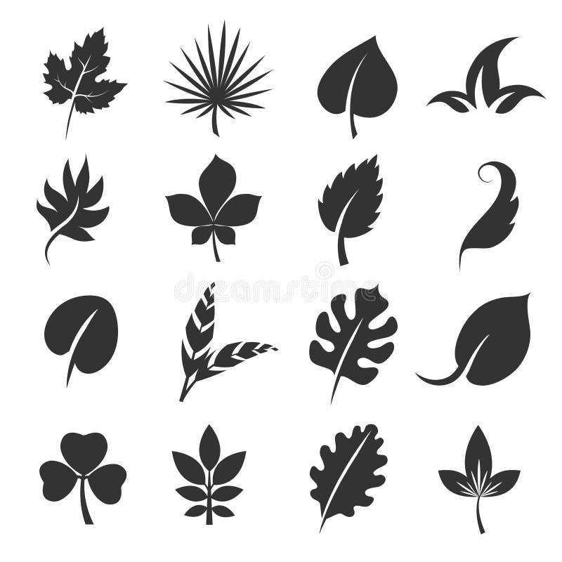 De silhouetten van het boomblad Bladeren vectorillustratie op witte achtergrond stock illustratie De silhouetten van het boomblad Bladeren vectorillustratie op witte achtergrond stock illustratie