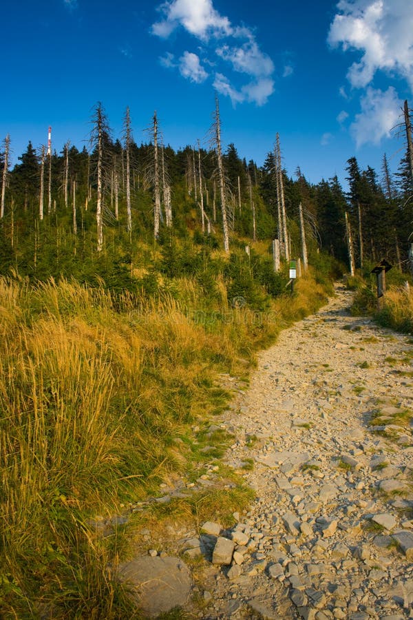 Bergpad - Lysa hora stock foto's