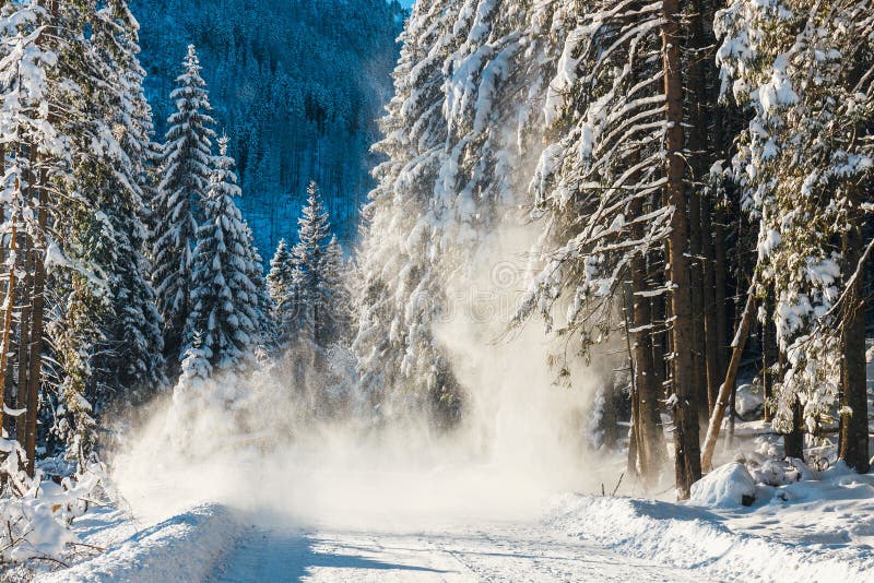 Download De Sneeuw Glijdt De Bomen Weg Stock Foto - Afbeelding bestaande uit naughty, wolk: 107701870