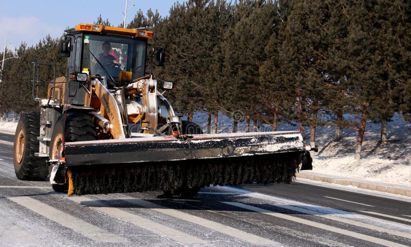 De sneeuwaarde royalty-vrije stock foto