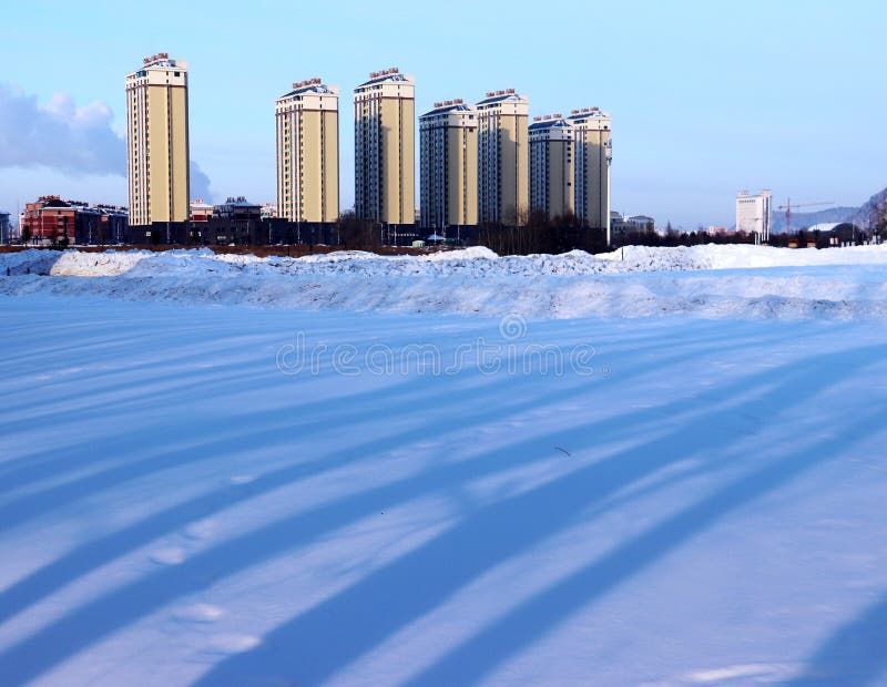 De sneeuwaarde stock foto