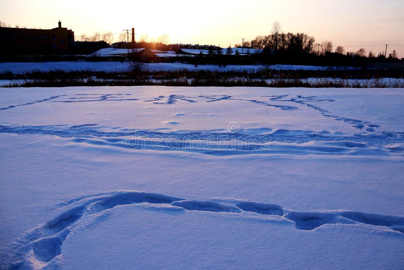 De sneeuwaarde royalty-vrije stock foto's