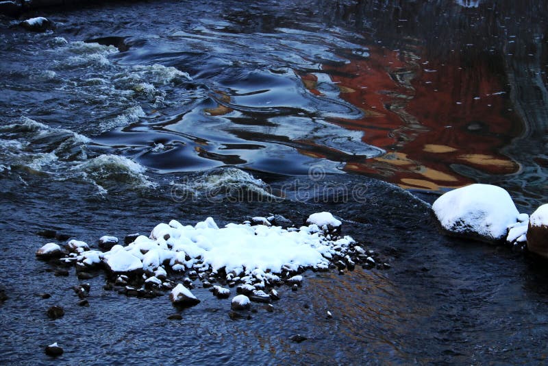 De sneeuwaarde royalty-vrije stock foto's