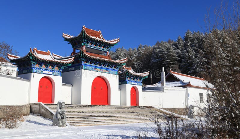 De sneeuwaarde royalty-vrije stock foto's