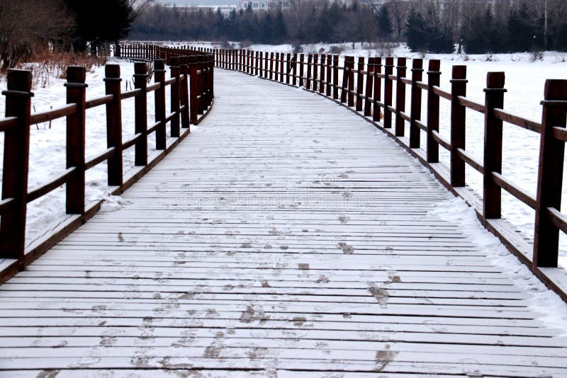 De sneeuwaarde royalty-vrije stock afbeeldingen