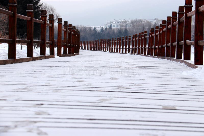 De sneeuwaarde stock afbeeldingen