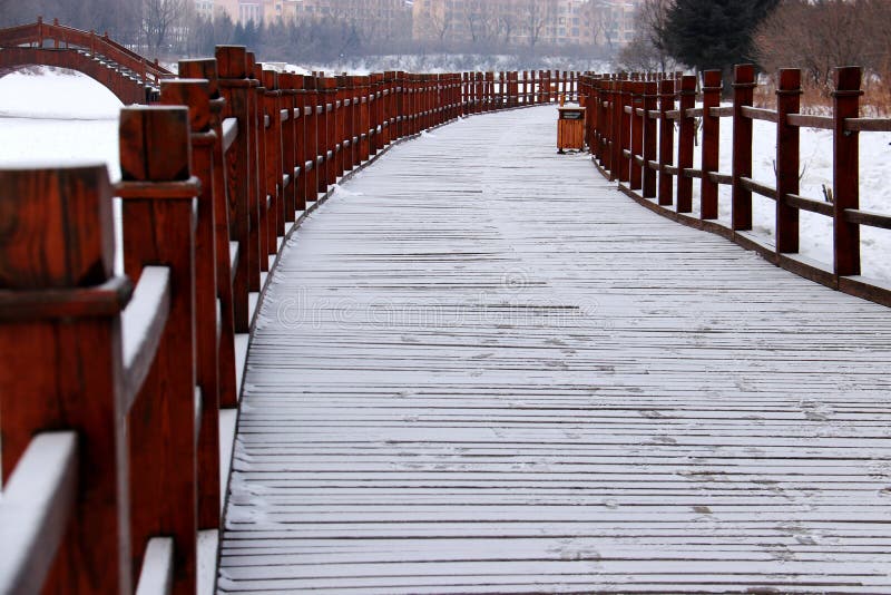 De sneeuwaarde royalty-vrije stock afbeelding