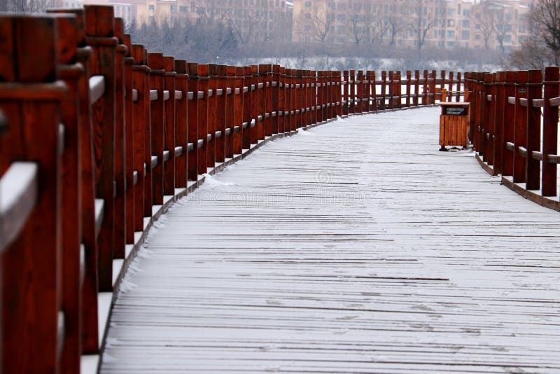 De sneeuwaarde stock afbeeldingen