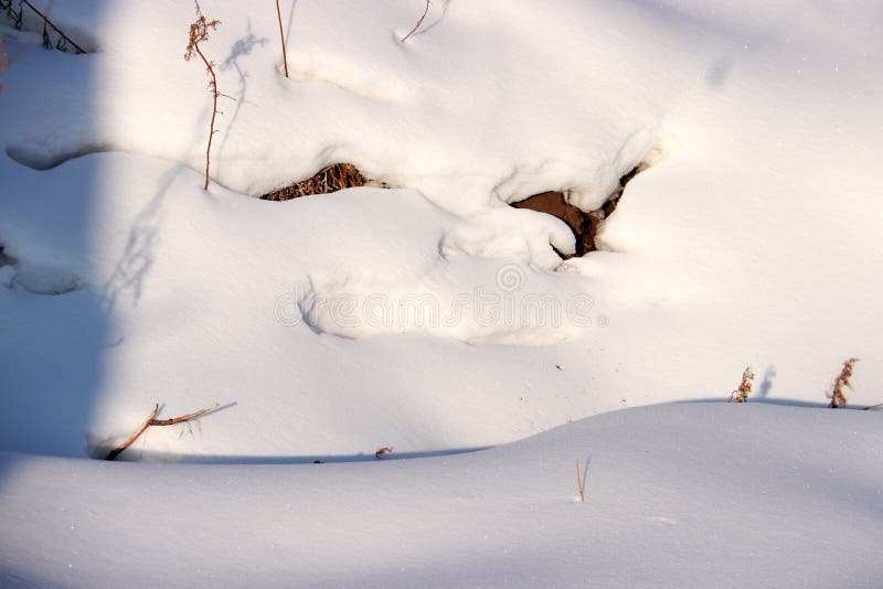 De sneeuwaarde stock foto's