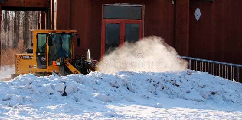 De sneeuwaarde royalty-vrije stock foto