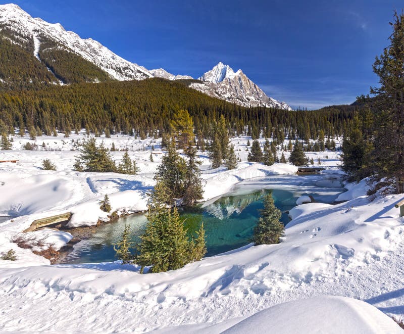 De sneeuwberg bereikt Blauwe van de Pottenjohnston canyon springtime banff national van de Meerinkt het Park Canadese Rotsachtige royalty-vrije stock fotografie De sneeuwberg bereikt Blauwe van de Pottenjohnston canyon springtime banff national van de Meerinkt het Park Canadese Rotsachtige royalty-vrije stock fotografie