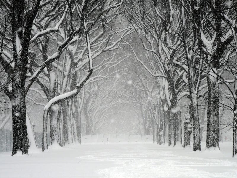 De Sneeuwstorm van het Central Park