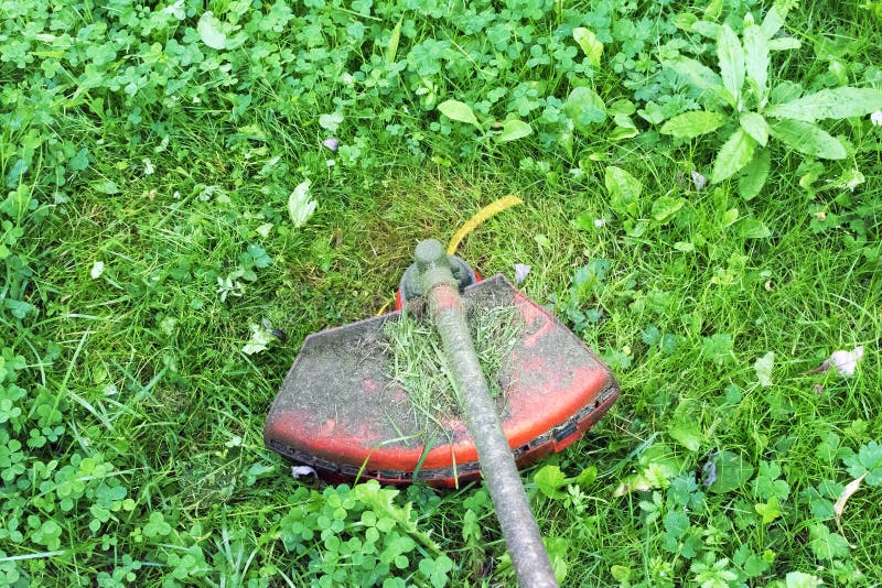 De snoeischaar van het benzinegazon maait sappig groen gras op een gazon stock afbeeldingen De snoeischaar van het benzinegazon maait sappig groen gras op een gazon stock afbeeldingen