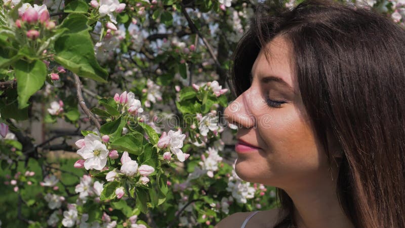 De snuifjesbloemen van de close-up jonge Kaukasische vrouw van bloeiende appelbomen in tuin
