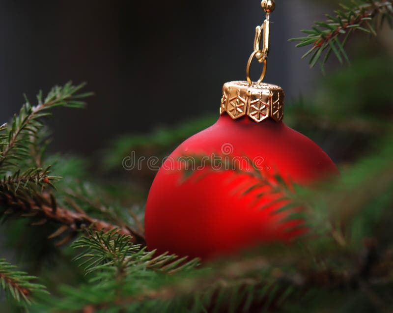 De snuisterij van de kerstboom