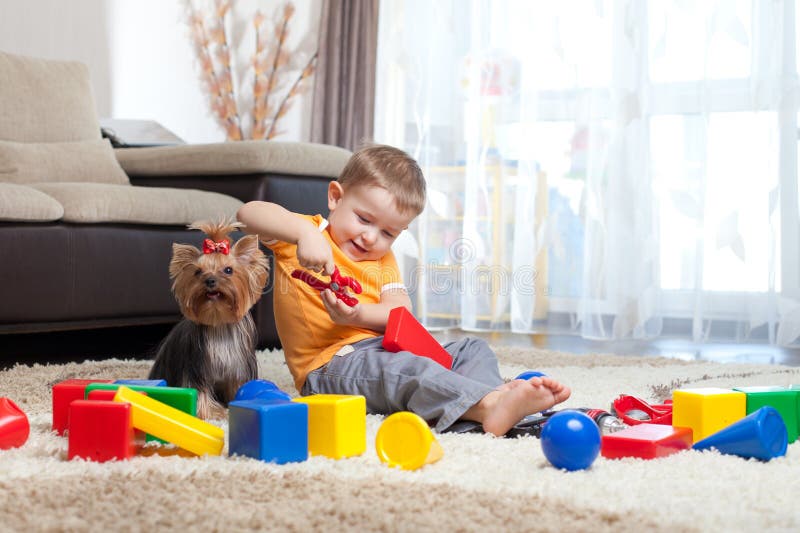 De spelen van het kind met hond en bouwstenen thuis royalty-vrije stock foto De spelen van het kind met hond en bouwstenen thuis royalty-vrije stock foto