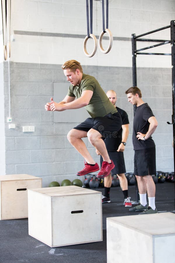 De sprong van de Crossfitdoos het traning stock afbeelding De sprong van de Crossfitdoos het traning stock afbeelding