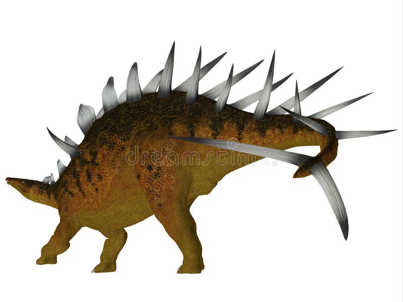 De Staart van de Kentrosaurusdinosaurus vector illustratie De Staart van de Kentrosaurusdinosaurus vector illustratie